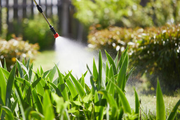 24/7 Emergency Termite Control experts in Cutten, CA