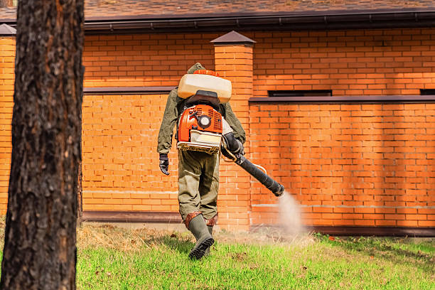 Top rated local Termite Control specialists in Cutten, CA